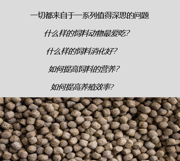 關于飼料生產的熟化工藝，以及保持器/保質器的應用解析